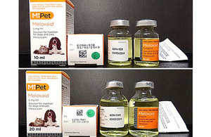 Meloxaid 5mg/ml Solution for Injection for Dogs and Cats – Product defect recall alert