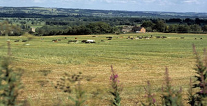 Rural and Countryside File Picture