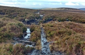 Peatlands to be restored in the North West