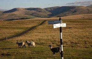 Natural England welcomes the decision to extend the Yorkshire Dales and Lake District National Parks
