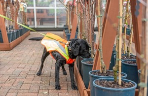Forest Research File Picture
