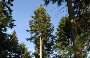 Forest Research File Picture