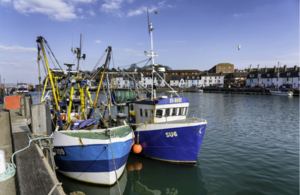 Marine Management Organisation File Picture