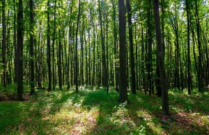 Forest Research File Picture