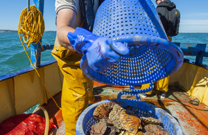 Department For Transport File Picture