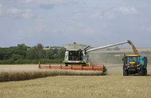 Rural and Countryside File Picture