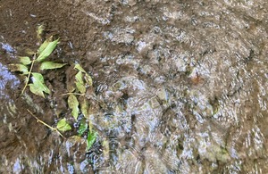 Environment Agency File Picture