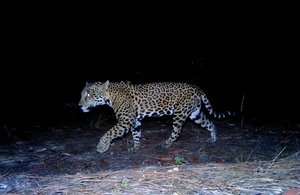 Defence Infrastructure Organisation File Picture