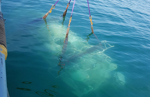 Transport File Picture