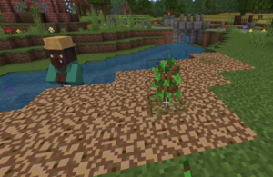 Environment Agency File Picture