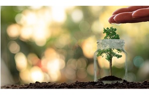 Government Actuarys Department File Picture