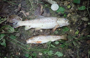 Environment Agency File Picture