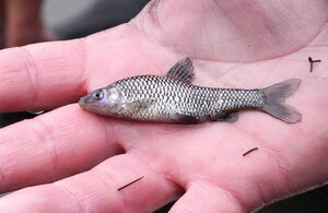 Environment Agency File Picture