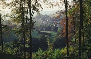 Forest Research File Picture