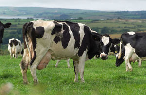 Food and Farming File Picture