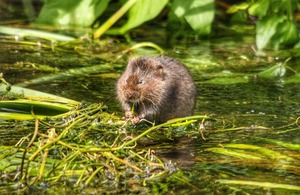 Environment Agency File Picture