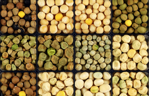 Food and Farming File Picture