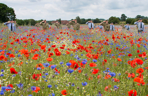 Welfare File Picture