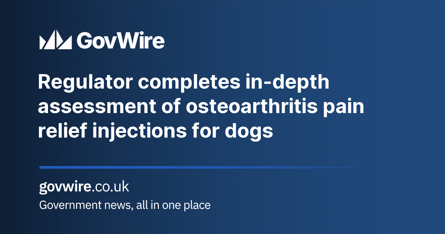Regulator completes in-depth assessment of osteoarthritis pain relief injections for dogs